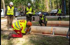 557619558_1377808867678496_537531246932867681_n_original